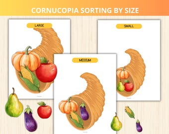 cornucopia sorting activity,autumn sorting game,fall size sorting,sort by size game,Thanksgiving unit study,Thanksgiving learning worksheet