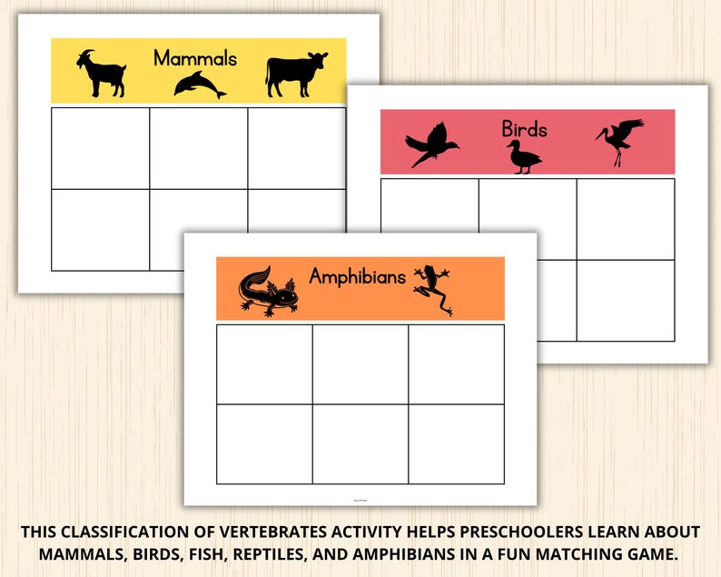 Classification of Vertebrates,animal Classification Sorting,animal ...