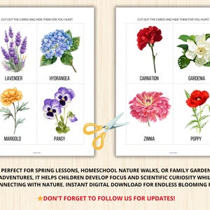 May include: Printable flower identification cards featuring illustrations of lavender, hydrangea, carnation, gardenia, marigold, pansy, zinnia, and poppy.  Cut out the cards and hide them for a fun nature hunt.