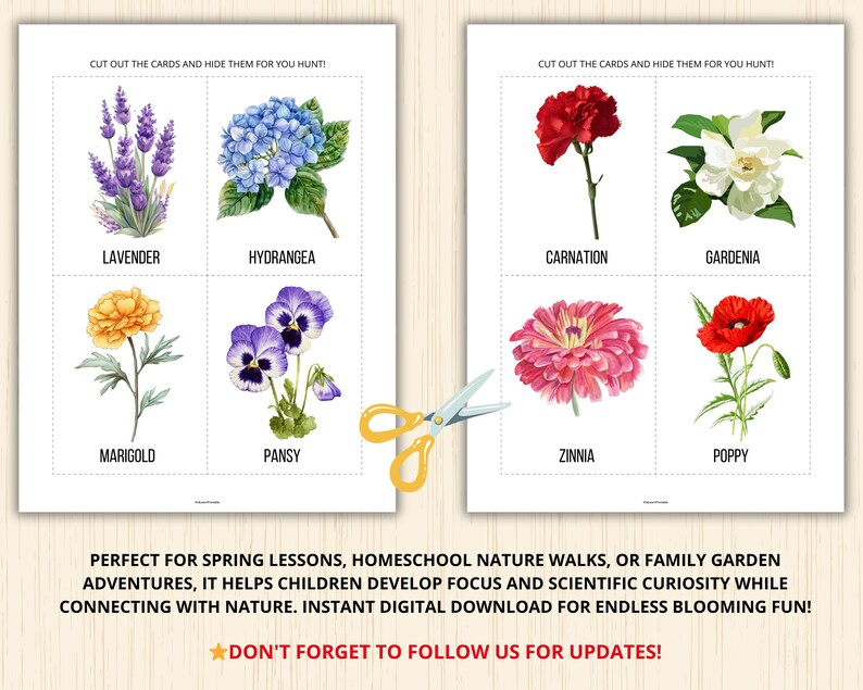 May include: Printable flower identification cards featuring illustrations of lavender, hydrangea, carnation, gardenia, marigold, pansy, zinnia, and poppy.  Cut out the cards and hide them for a fun nature hunt.