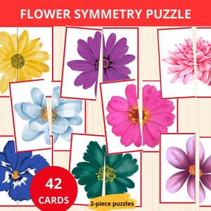 Fleurs assorties par symétrie, puzzle de fleurs, étude d'unités de fleurs, fleurs de printemps Montessori, moitiés de fleurs assorties, carte d'image assortie, nature printanière