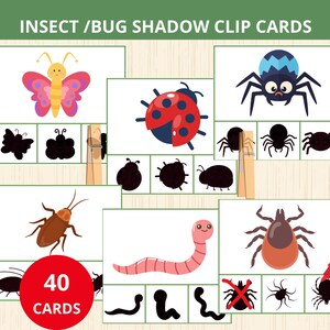 May include: Insect/Bug Shadow Clip Cards with 40 cards. The cards feature colorful illustrations of insects and their shadows, including a butterfly, ladybug, spider, cockroach, worm, and tick. The cards are designed for educational play.