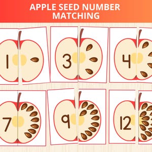 Op de afbeelding: Educatief matching spel met halve appels met nummers en zaadtellingen. Het spel bevat kaarten met de nummers 1, 3, 4, 7, 9 en 12, elk gekoppeld aan een bijbehorende halve appel met het juiste aantal zaden. De tekst "APPLE SEED NUMBER MATCHING" staat bovenaan.