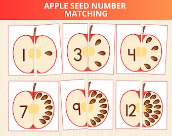 Apple Seed Counting Activity,Apple Unit Study,Number Matching Game,fall preschool math,autumn learn,fall number recognition,apple busy book
