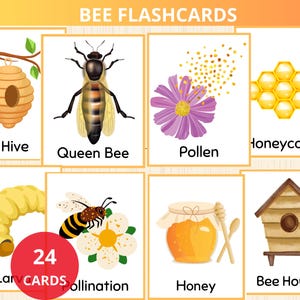 Cartões de memória de abelhas, cartões de memória de abelhas, cartões de natureza, estudo de unidade de abelhas, cartões Montessori de insetos, vocabulário de natureza, livro de atividades de abelhas, pré-escola de atividades de primavera