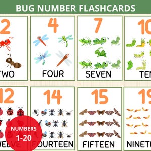 Scheda numerata sugli insetti, schede numerate sui mini-animali, scuola materna sugli insetti, attività Montessori sulla natura, studio dell'unità sugli insetti, matematica sugli insetti, carte di conteggio, lezione sugli insetti