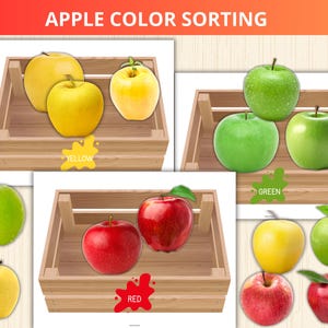 appelkleursortering,appelkleurafstemming,apple unit study,appel bezig boek,herfstsorteeractiviteit,prek Montessori sorteren,appelkleuractiviteit