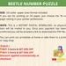Beetle Number Puzzle,beetle Matching Activity,beetle Symmetry Puzzle ...