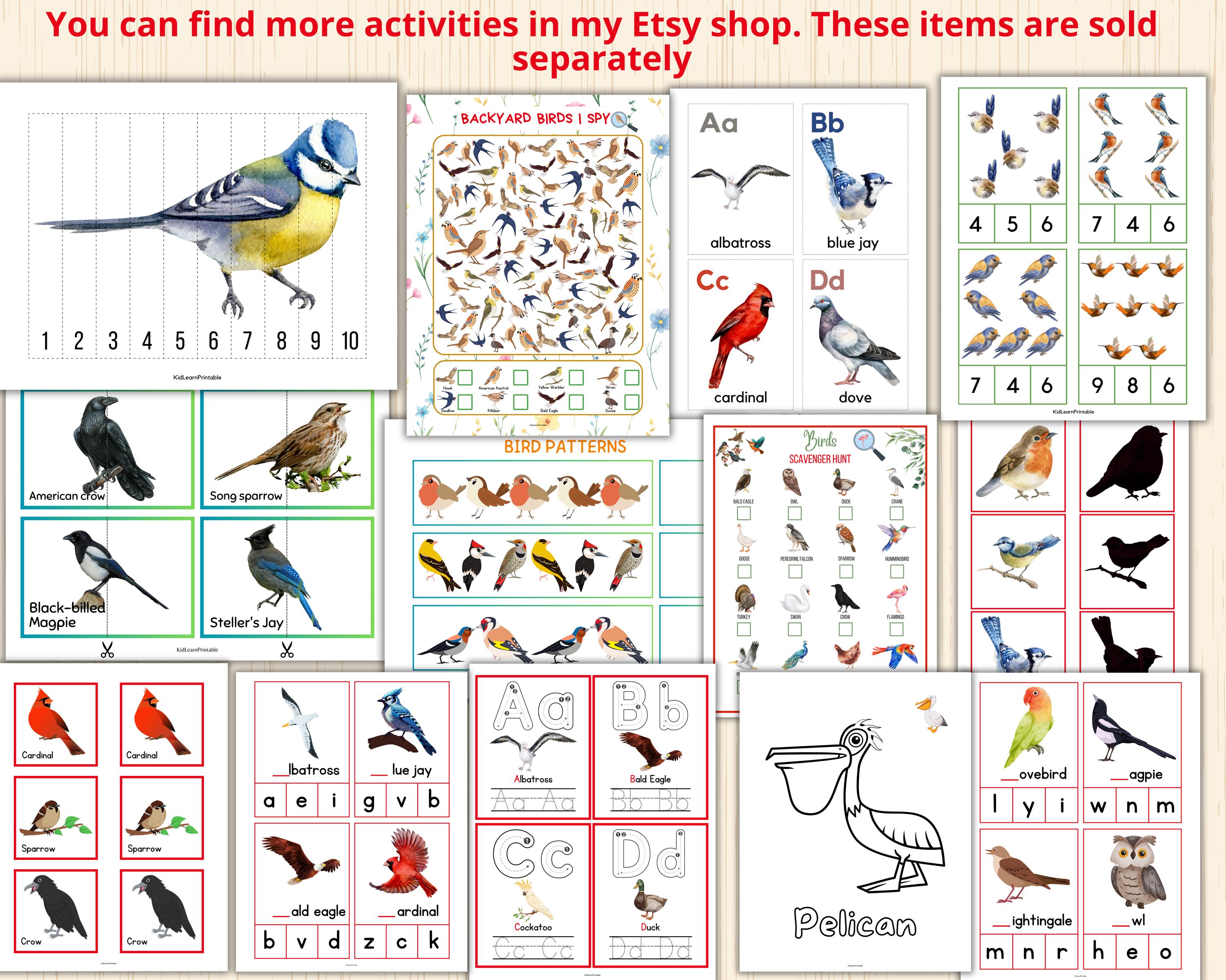 Bird Word Tracing Cards,backyard Birds Tracing,bird Vocabulary
