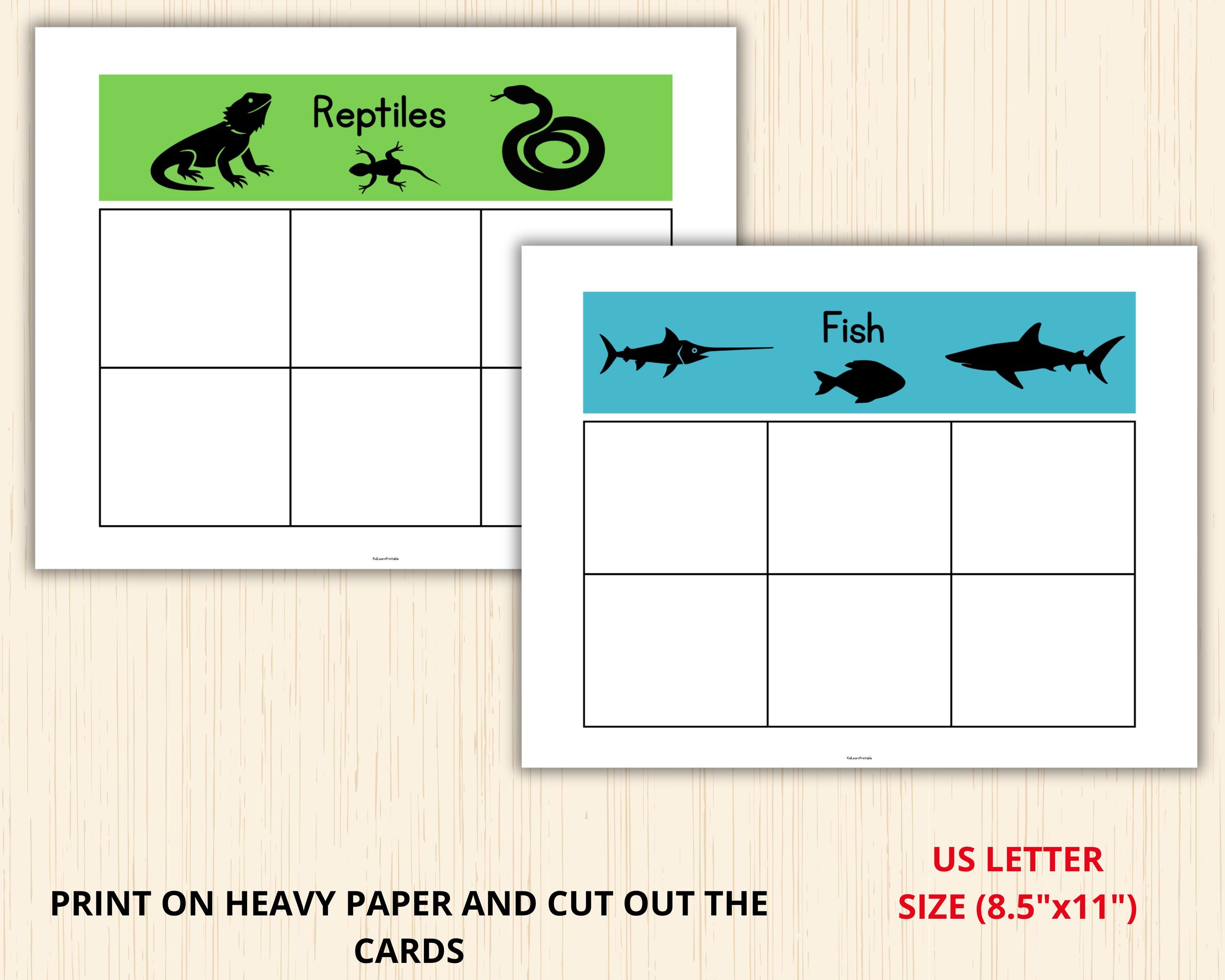 Vertebrates Sort Classification of Vertebrates,animal Classification Sorting,animal ...