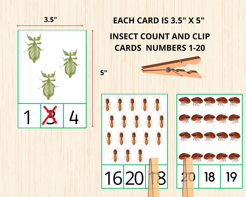 Puede incluir: Tarjetas de conteo y clip de insectos, cada una de 8,9 cm x 12,7 cm, con ilustraciones de insectos y n&uacute;meros del 1 al 20. Las tarjetas tienen bordes verdes y est&aacute;n dise&ntilde;adas para actividades educativas. Tambi&eacute;n se incluye una pinza de madera.