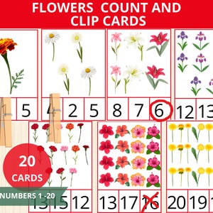 kwiaty Liczenie i spinanie kart, karty do nauki liczenia, karty flory, nauka wiosenna, gra wiosenna, przedszkole kwiatowe, wiosna montessori, matematyka wiosenna