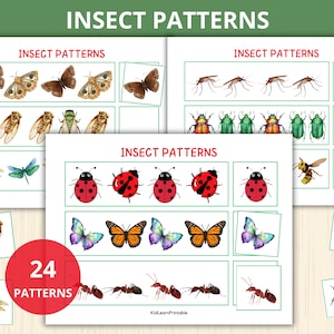 insect Patterns,insect Activity,Cut and Paste Patterns,Preschool Patterns,Scissor skill,insect Worksheet,bug Montessori,Homeschool,Kinder