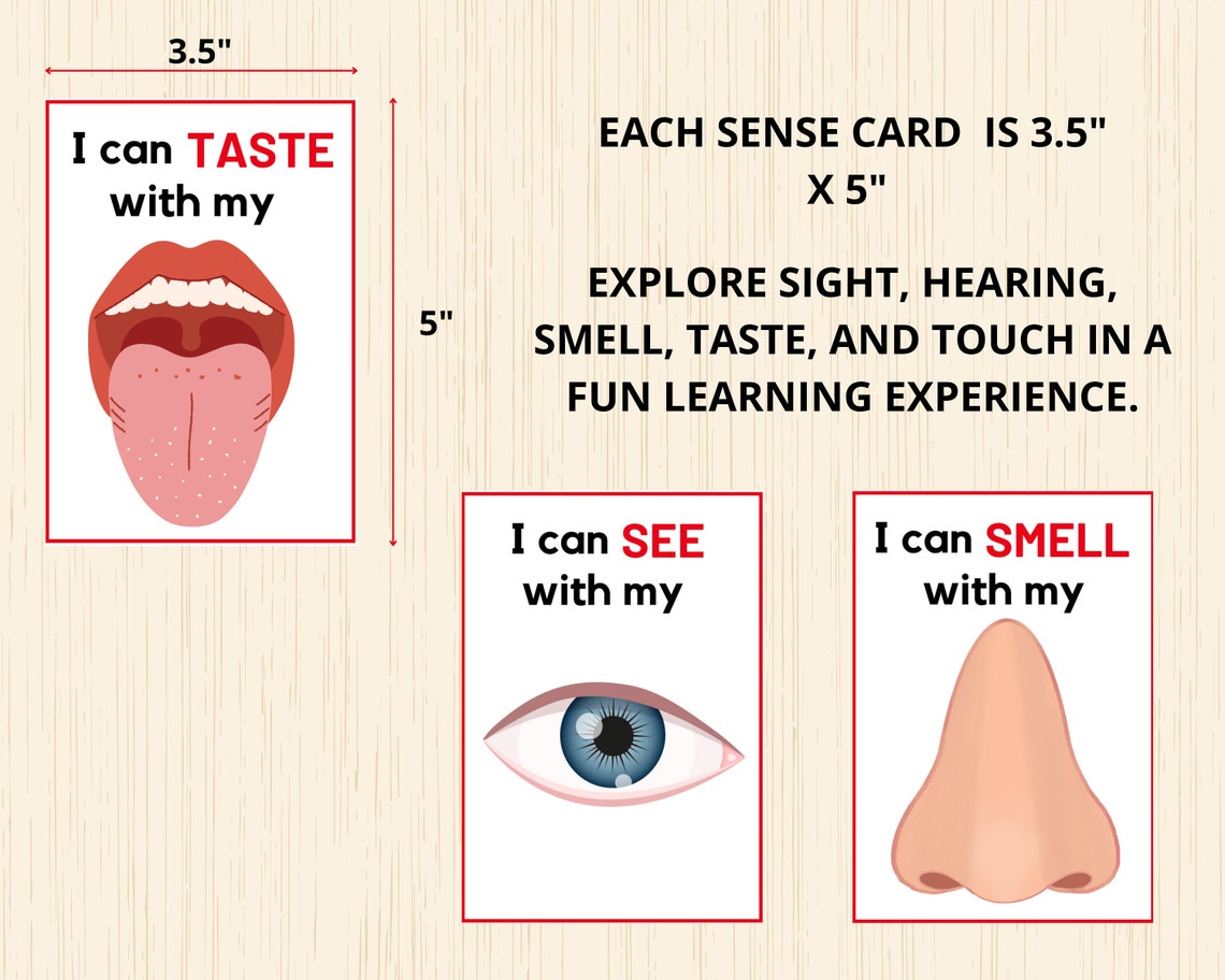 Five Senses Sorting Activity, 5 Sense Activities,5 Senses ...