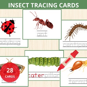 Tarjetas de rastreo de insectos, preescolar de primavera, tarjetas de rastreo de letras, práctica de escritura a mano, rastreo de niños pequeños, rastreo abc, libro ocupado de insectos, carpeta de aprendizaje