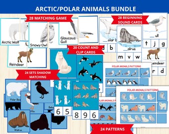 arctic animals bundle,polar animals preschool activity,arctic animal Worksheets,winter Montessori,winter homeschool,polar animal unit study