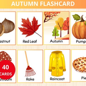 Carte mémoire d'automne, Vocabulaire d'automne, Cartes nature, automne Montessori, Activité d'automne, Panier du matin, Carte mémoire d'automne, Carte automne en 3 parties, enseignement à domicile