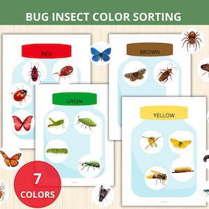 May include: Educational color sorting game featuring insects. The image shows cards with jars labeled with colors: red, green, brown, and yellow. Each jar contains insect illustrations. The text "BUG INSECT COLOR SORTING" and "7 COLORS" are also visible.