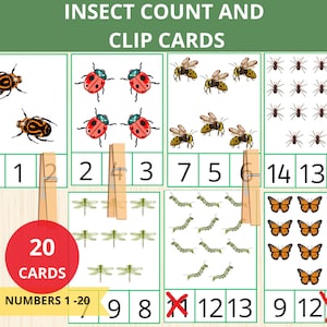 Insect count and clip cards,numbers 1-20,insect Montessori, counting cards,bug activity, srping activities,preschool, flashcards