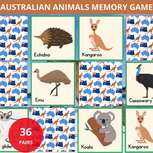 Australia Memory game,australian animals matching game,wild Animals memory cards,Montessori animals cards,nature flashcard,wildlife learning