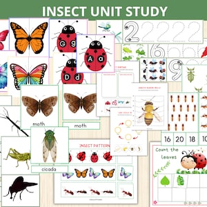 Insekten-Einheitsstudie, Vorschul-Lehrplan, Insektenpaket, Insekten-Montessori, Homeschool, Käfer, Insektenaktivität, Insekten-Aktivitätspaket, Arbeitsblätter