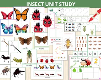 Insect Unit Study,Preschool Curriculum,insect bundle,insect Montessori, Homeschool,bug,insect activity,insect activity pack,worksheets