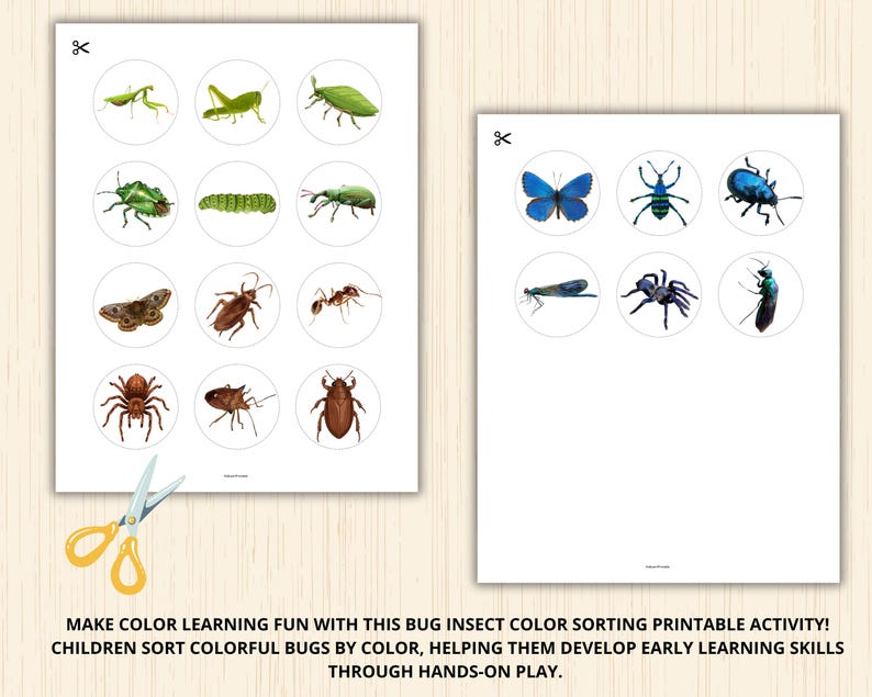 Bug Color Sorting,insect Color Matching,bug Sorting Game,insect Unit ...