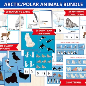 arctic animals bundle,polar animals preschool activity,arctic animal Worksheets,winter Montessori,winter homeschool,polar animal unit study