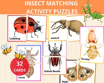 insect Matching Activity, Insect Puzzles, insect Symmetry, Bug matching game,Insect montessori, Kids Puzzles,Bugs Symmetry,symmetry puzzle