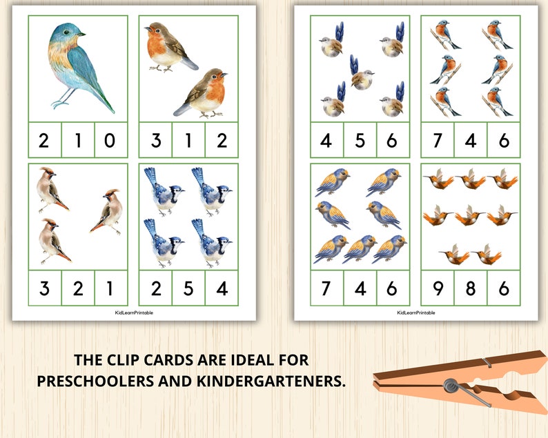 Bird Math Problems Birds Count and Clip Cards,numbers 1-20, Birds Flashcards,bird Activity ...