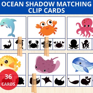 oceaandieren Schaduwklemkaarten, silhouetmatching, zomermatching, zomer Montessori, clipkaarten, kleuterschool, schaduwmatchingspel, zeedieren