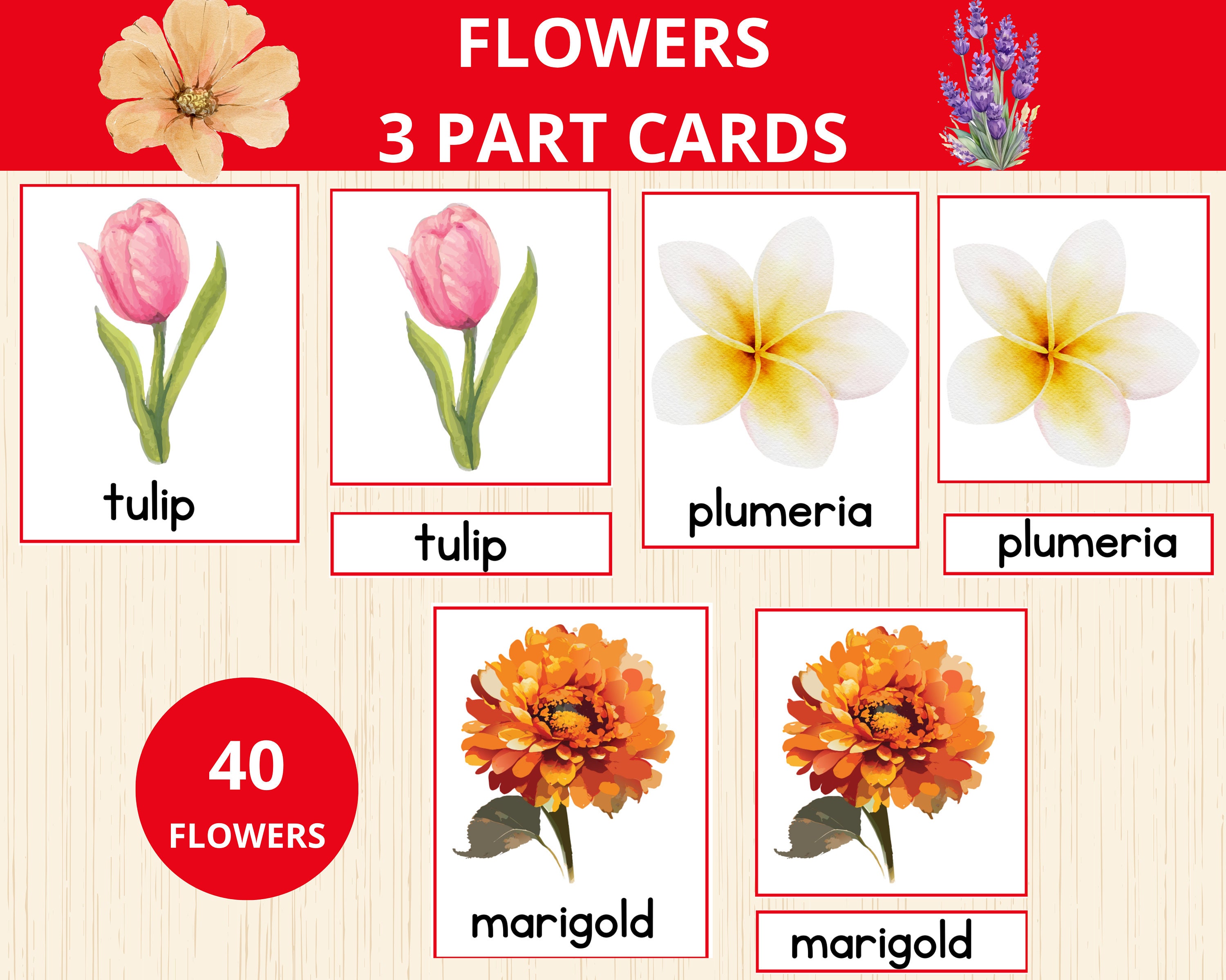 flowermemoryページ Tranquil Water Lilies die – Pinkfresh Studio