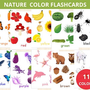 colors in Nature Flashcards,Nature Color Flashcards,Montessori Colors,Toddlers Preschool Montessori,Nature Themed Color,Nature unit Study