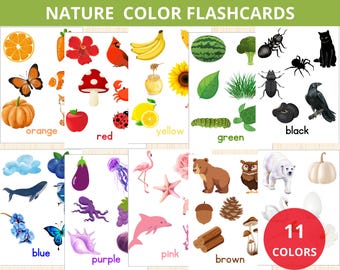 colors in Nature Flashcards,Nature Color Flashcards,Montessori Colors,Toddlers Preschool Montessori,Nature Themed Color,Nature unit Study