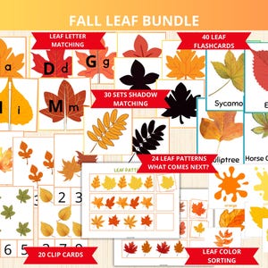 Autumn Leaf Activity Pack,leaves Unit Study,Fall Unit Study Bundle,fall Preschool Montessori,leaf Busy Book,autumn leaf flashcard,fall sheet