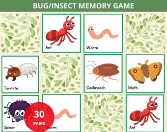 Bug Memory game,insect matching game,bug memory cards,Montessori Bugs cards,beetles flashcards,nature cards,insect flashcards,bug flashcards