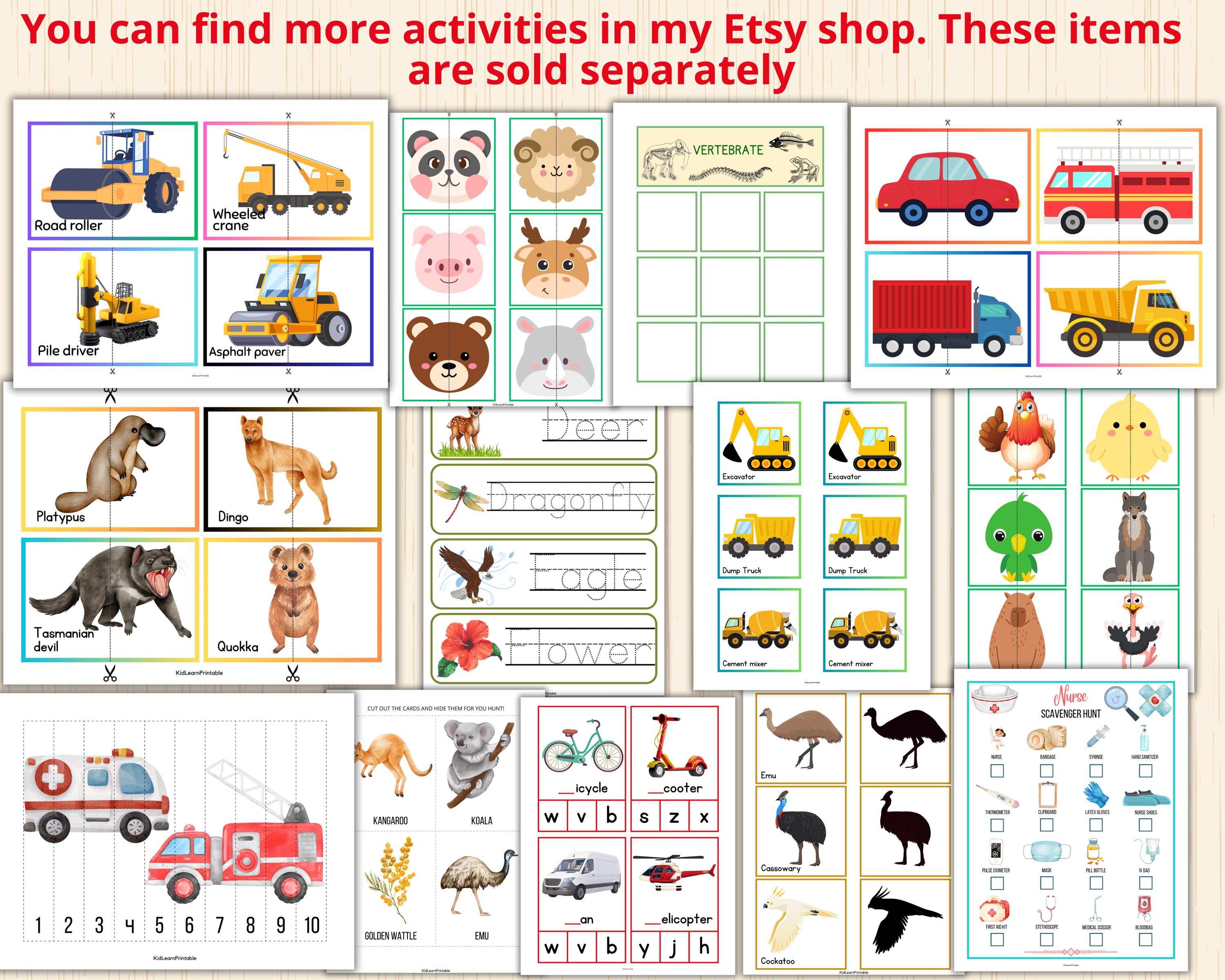 Card Sorting Travel Transportation Sorting Activity,vehicle Sorting Cards,land, Water & Sky ...