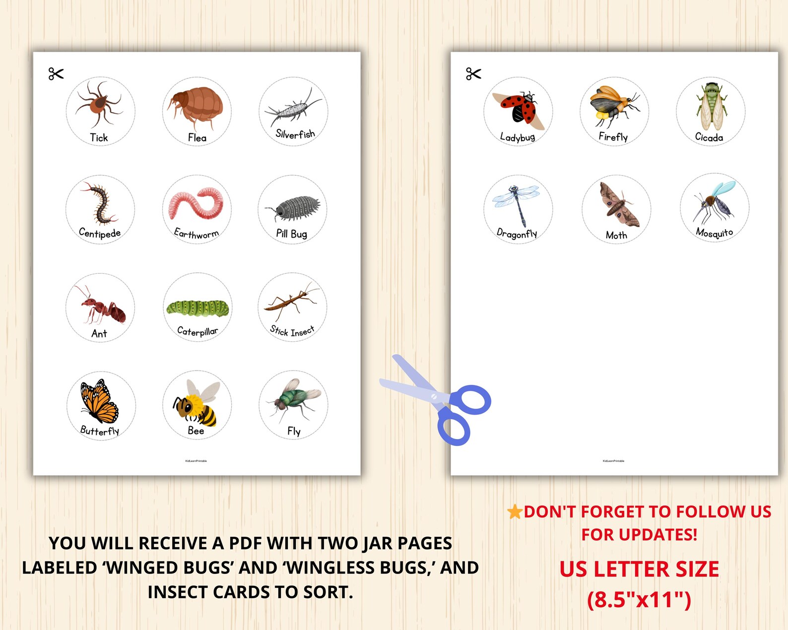 Bugsort Bugs Sorting Activity,insect Sorting Game,preschool Insect,bug Unit ...