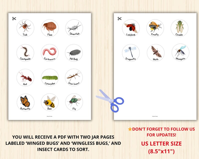Bugs Sorting Activity,insect Sorting Game,preschool Insect,bug Unit ...
