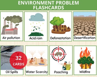 May include: A set of 32 flashcards illustrating different environmental problems. The cards feature colorful illustrations of air pollution, acid rain, deforestation, desertification, oil spills, water scarcity, poaching, and wildfire.