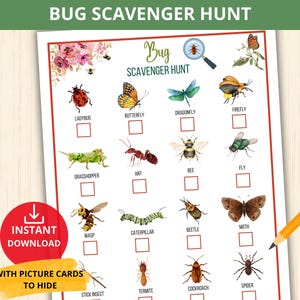 Chasse au trésor d'insectes, chasse aux insectes, nature, chasse au trésor en intérieur, étude de la nature, activités de camping pour enfants, jeux de jardin