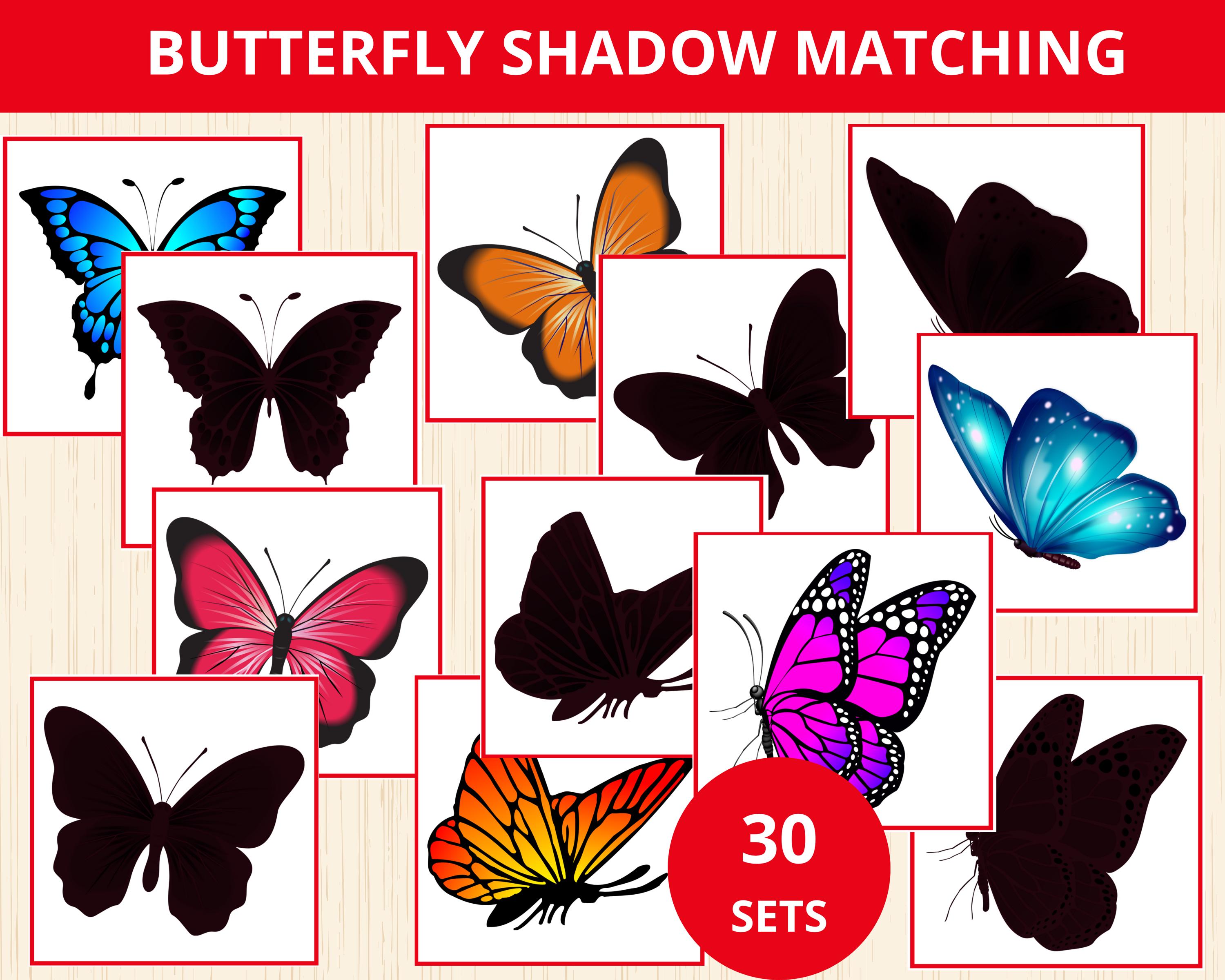 Butterfly Shadow Matching Cards,butterfly Matching Activity,butterfly ...