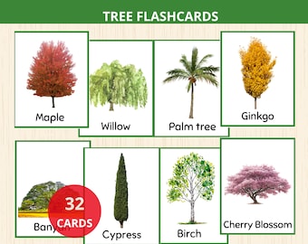 tree flashcards,tree montessori preschool,tree unit study,Forest Schooling,Tree identification cards,tree vocabulary,nature study book prek