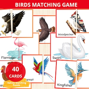 Birds Puzzle Pairs,bird matching activity,bird matching puzzles,nature match cards,toddler puzzles,bird halves matching game,bird unit study