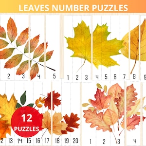 May include: An educational puzzle for children with watercolour illustrations of autumn leaves. The puzzle is divided into numbered sections, with the text "LEAVES NUMBER PUZZLES" at the top and "12 PUZZLES" in a red circle.