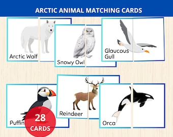 arctic animal matching,arctic animal puzzle,winter animal Montessori Card,arctic animals Flashcards,polar animals Flash Card,2 pieces puzzle