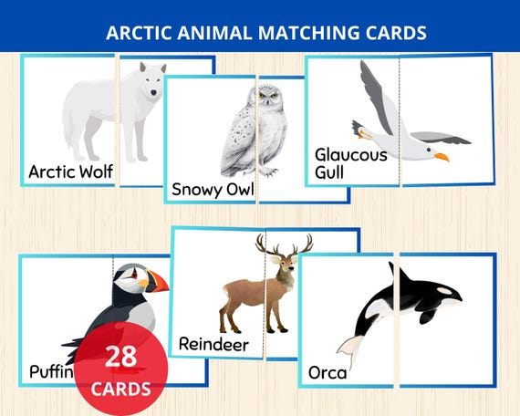 arctic animal matching,arctic animal puzzle,winter animal Montessori Card,arctic animals Flashcards,polar animals Flash Card,2 pieces puzzle
