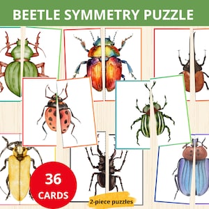 kever bijpassende activiteit, kever symmetrie puzzels, lente kinderpuzzels, lente activiteitenboek, natuur matching game, kever unit study, kever kaart