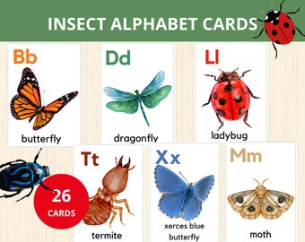 Insect flashcards, bug alphabet,insect alphabet cards, alphabet flash cards,insect montessori printable, vocabulary activity,preschool early