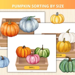 May include: Watercolour illustrations of pumpkins in various colours and sizes, including orange, white, yellow, pink, and green. The text "PUMPKIN SORTING BY SIZE" is at the top. Each pumpkin is in a wooden crate.